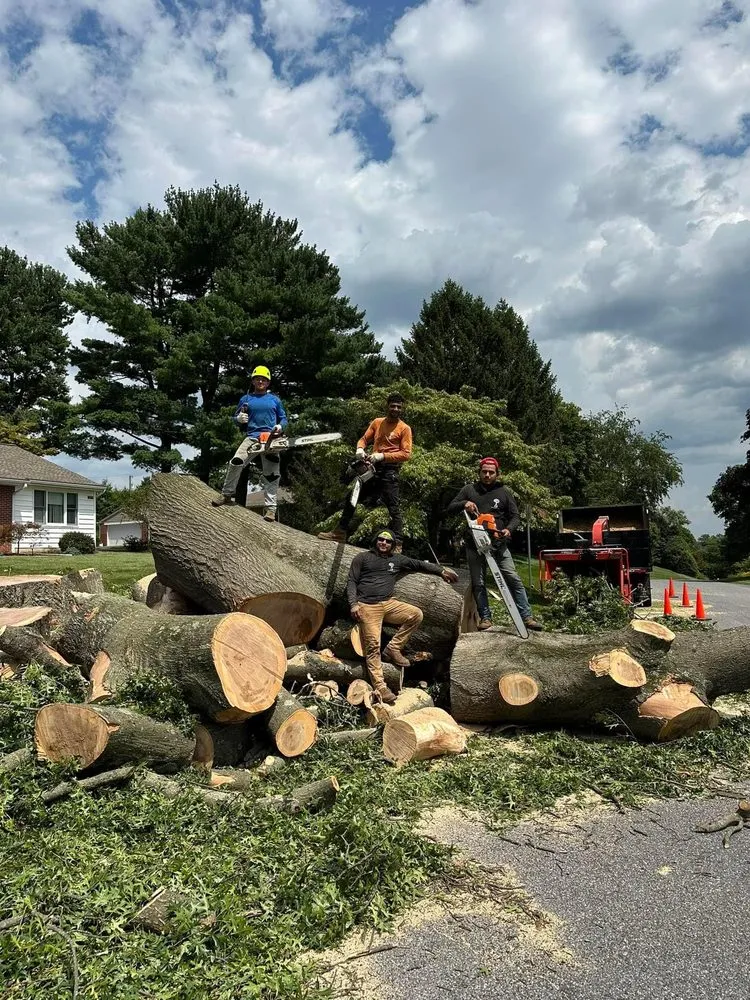 Professional landscape installation in Brooklyn, MD by KJA Landscaping