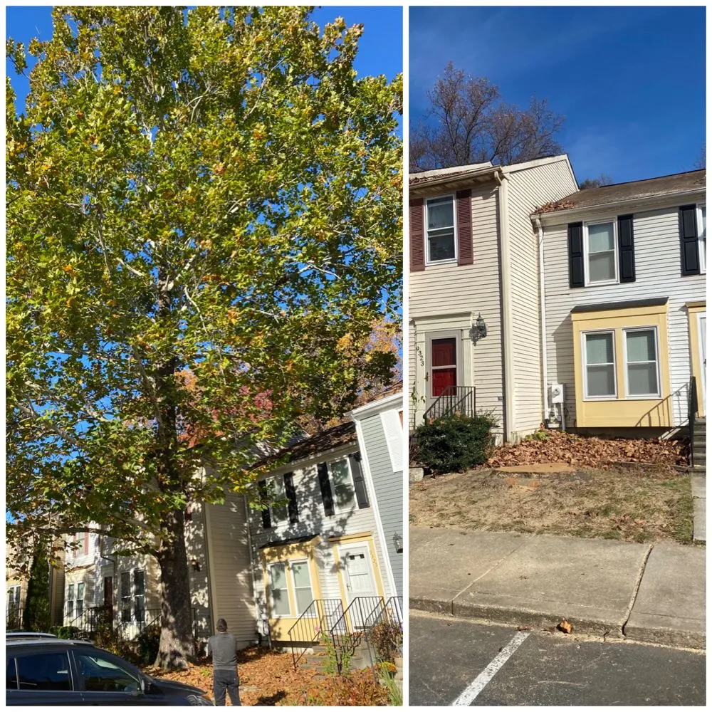 Custom garden landscaping near you across Brooklyn, MD - KJA Landscaping