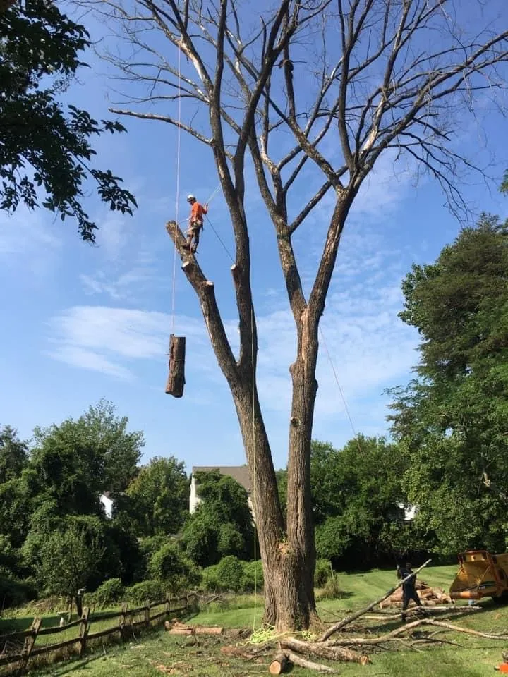 Local residential landscaping experts serving Brooklyn, MD - KJA Landscaping