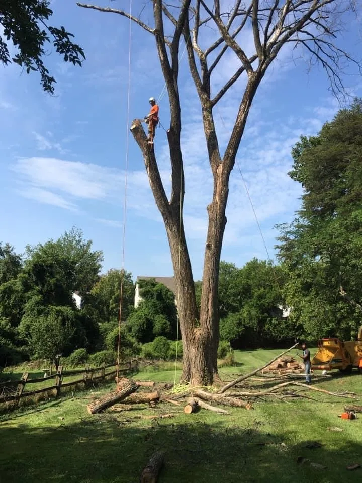 Local landscape installation for homes across Brooklyn, MD - KJA Landscaping