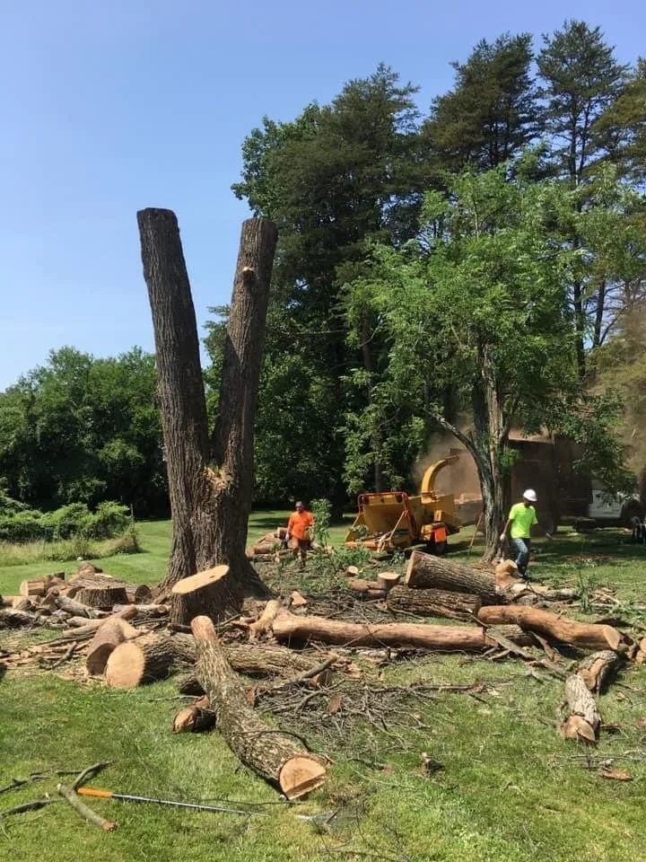 Custom garden landscaping in Brooklyn, MD by KJA Landscaping