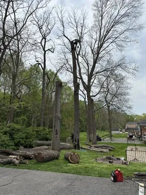 KJA Landscaping
