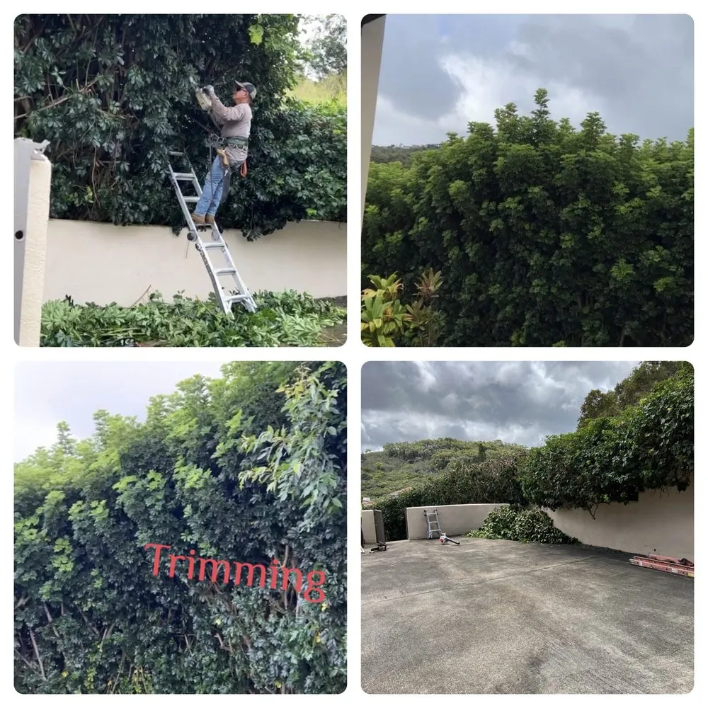 Affordable residential landscaping with custom design in Ewa Beach, HI by KJA Landscaping