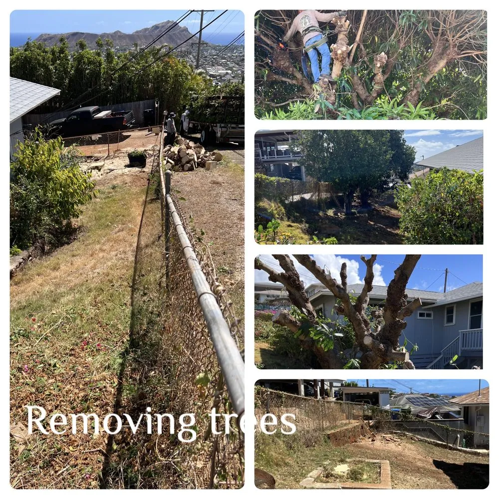 Affordable lawn care service experts serving Ewa Beach, HI - KJA Landscaping