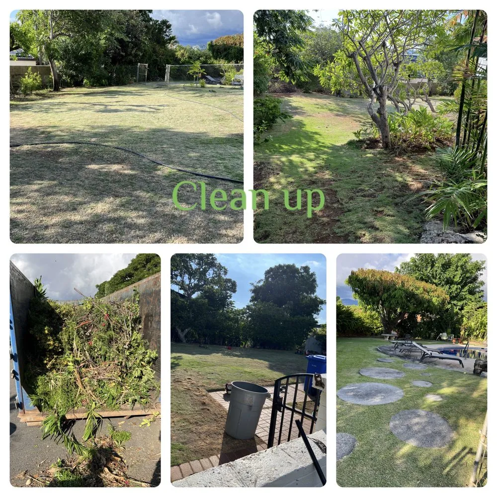 Affordable yard cleanup service for year-round maintenance across Ewa Beach, HI - KJA Landscaping