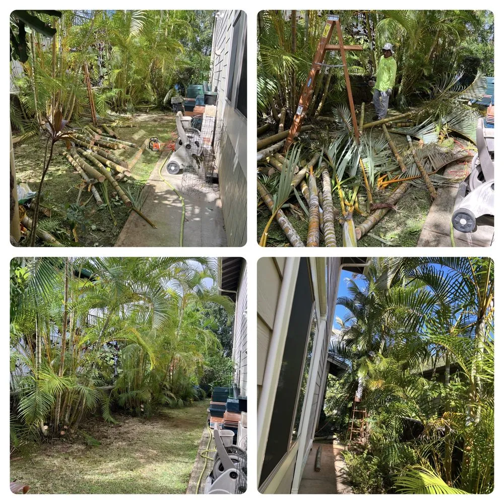 Trusted residential landscaping for year-round maintenance across Ewa Beach, HI - KJA Landscaping