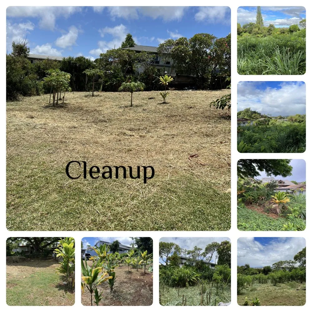 Expert landscape installation experts serving Ewa Beach, HI - KJA Landscaping