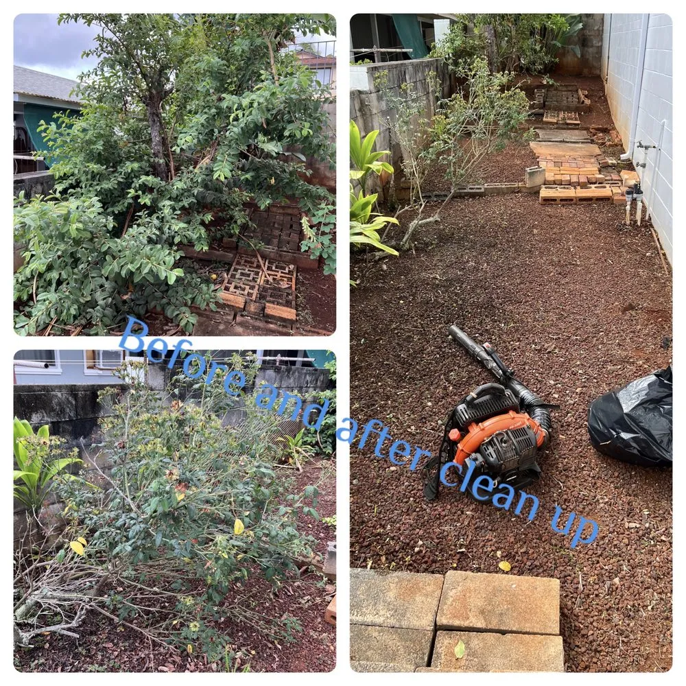 Professional yard maintenance in Ewa Beach, HI by KJA Landscaping