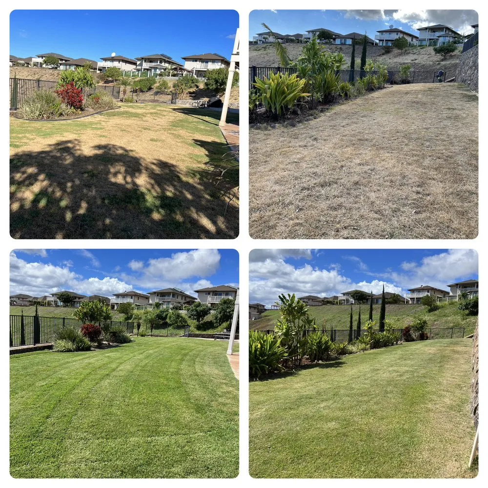 Expert yard maintenance in Ewa Beach, HI - KJA Landscaping