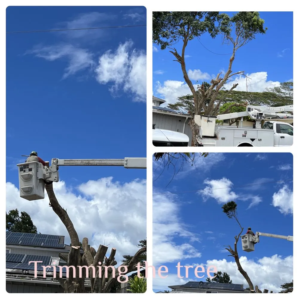 Local outdoor landscaping for outdoor upgrades in Ewa Beach, HI by KJA Landscaping