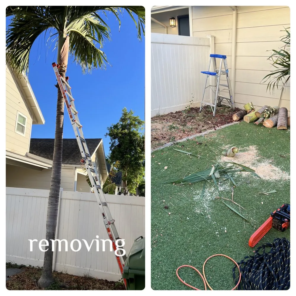 Reliable residential landscaping in Ewa Beach, HI by KJA Landscaping