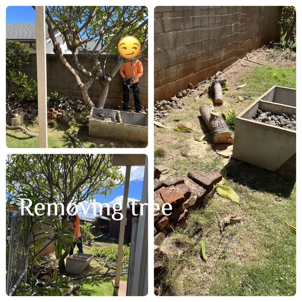 Affordable outdoor landscaping near you in Ewa Beach, HI by KJA Landscaping