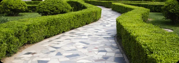 Trusted outdoor landscaping in Mechanicsville, VA - Kjlc Landscape Management