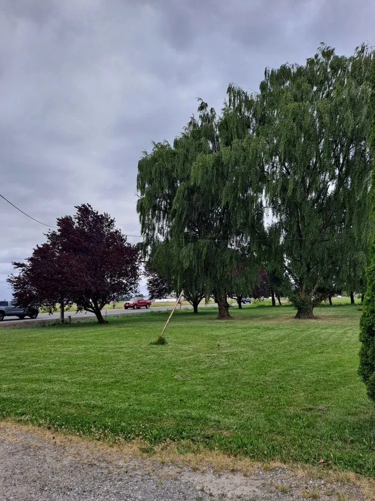 Reliable landscape installation in Lynden, WA by KJ's Handyman Services