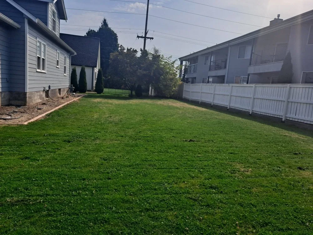 Top-rated yard cleanup service in Lynden, WA by KJ's Handyman Services