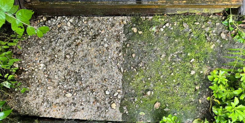 Expert lawn care service in Catonsville, MD by K&J's Home and Outdoor Care