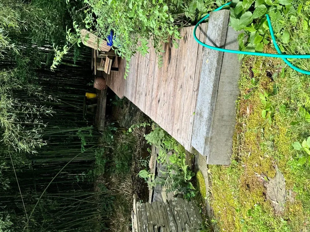 Top-rated residential landscaping with custom design across Catonsville, MD - K&J's Home and Outdoor Care