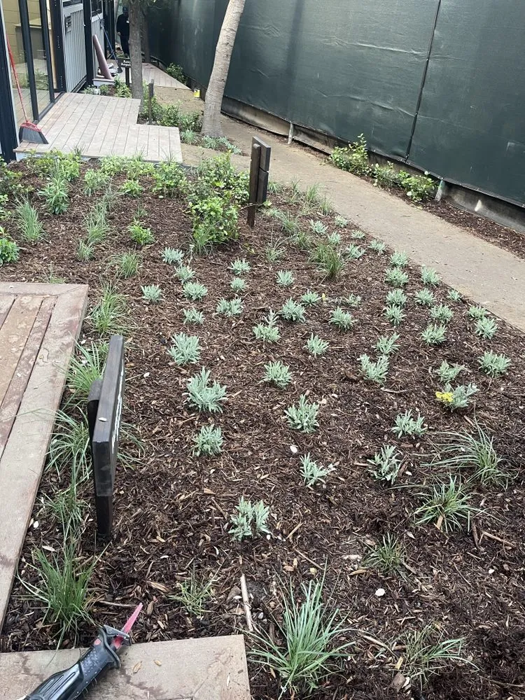 Top-rated landscape design in Oxnard, CA by Kjs Landscape & Tree Care