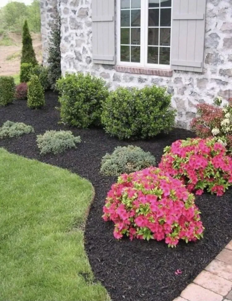 Top-rated lawn care service in Oxnard, CA by Kjs Landscape & Tree Care