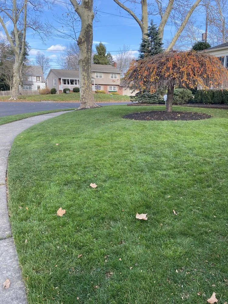 Top-rated outdoor landscaping in Morrisville, PA - Kjs Landscaping