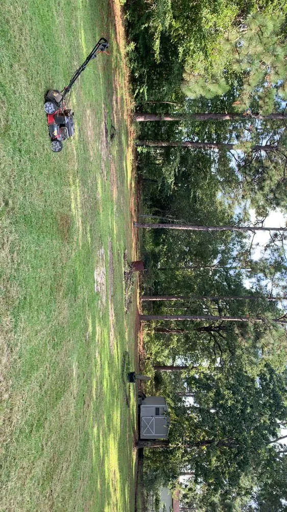 Local landscaping services in Gaston, SC by KJS Lawn Care