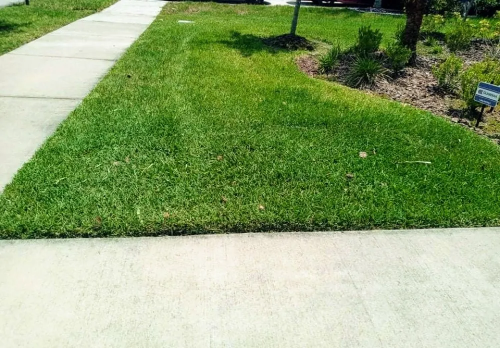 Local landscaping services in Zephyrhills, FL - K&Js Lawn Care