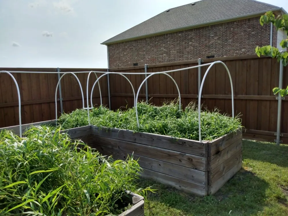 Affordable lawn mowing service for residential properties across Dallas, TX - Kjs Lawn Service