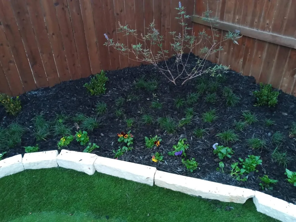 Professional landscaping services experts serving Dallas, TX - Kjs Lawn Service