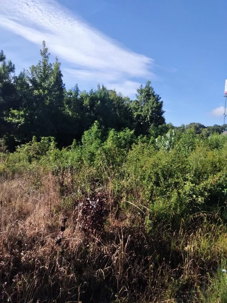 Professional landscape design in Sylvania, GA by KJ’s Seed of Faith Landscaping & Contracting