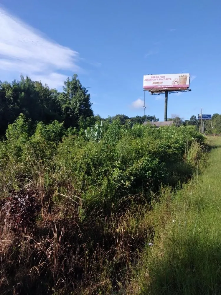 Expert yard cleanup service in Sylvania, GA - KJ’s Seed of Faith Landscaping & Contracting