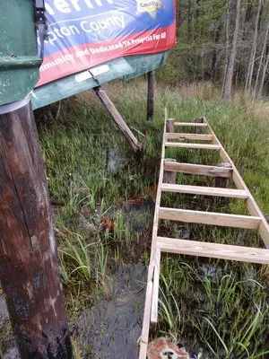 KJ’s Seed of Faith Landscaping & Contracting