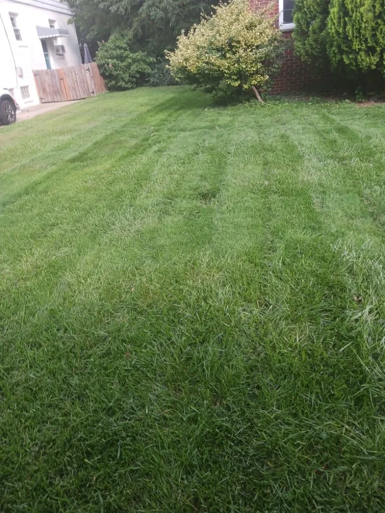 Local yard maintenance in Cleveland, OH - KK & S Lawn Care Service