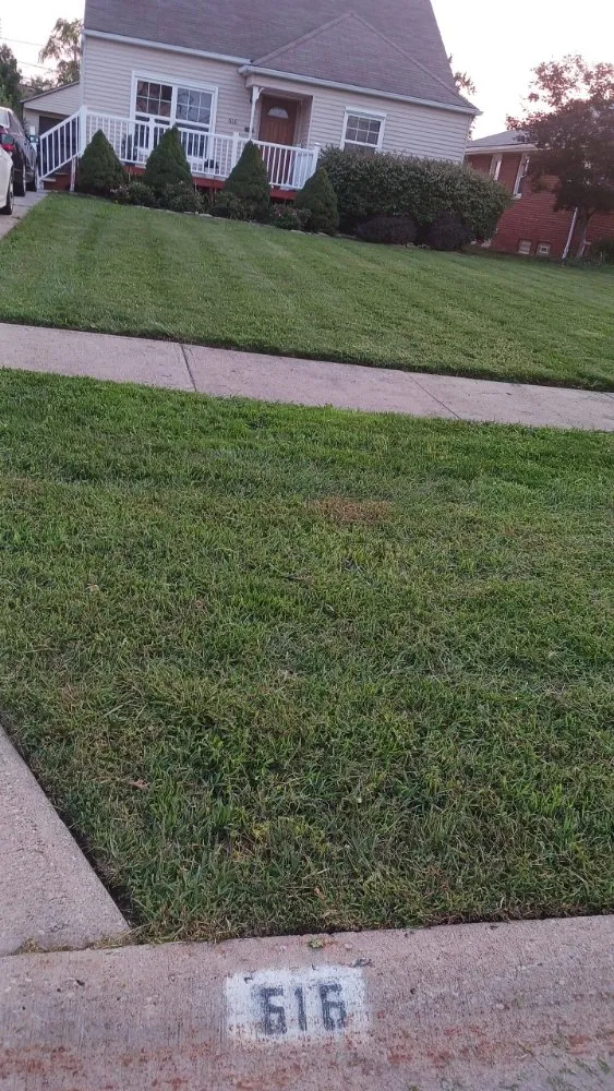 Affordable lawn care service experts serving Cleveland, OH - KK & S Lawn Care Service