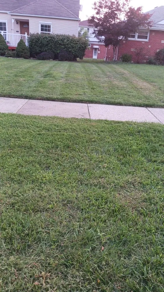 Top-rated landscape installation in Cleveland, OH by KK & S Lawn Care Service