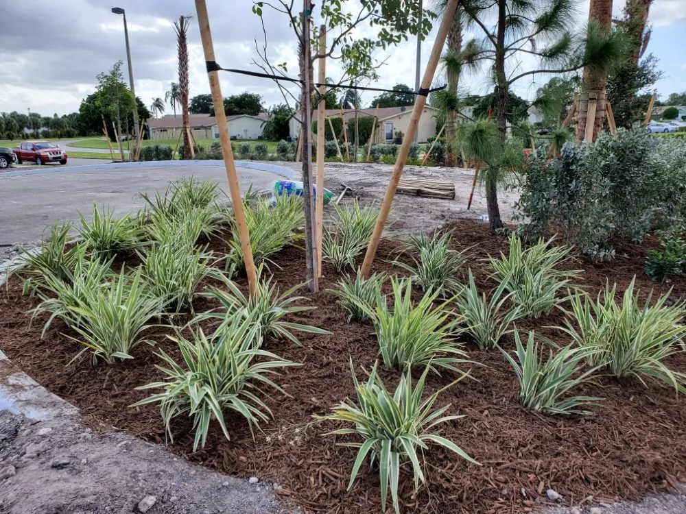 Reliable landscaping services for beautiful yards across West Palm Beach, FL - k&K Construction and Landscape Service