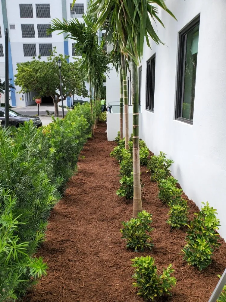 Professional garden landscaping for year-round maintenance across West Palm Beach, FL - k&K Construction and Landscape Service