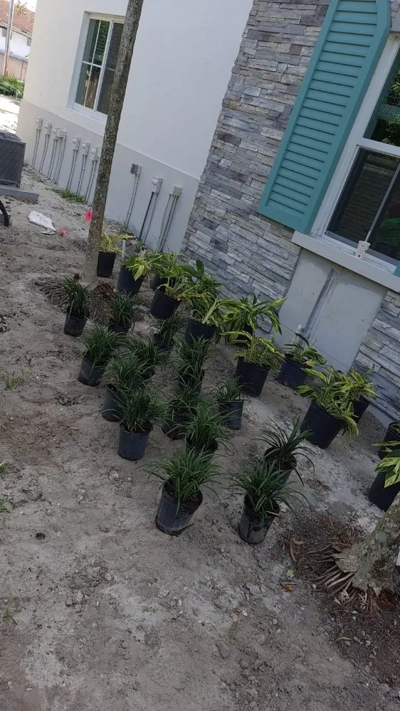 Reliable lawn care service in West Palm Beach, FL - k&K Construction and Landscape Service