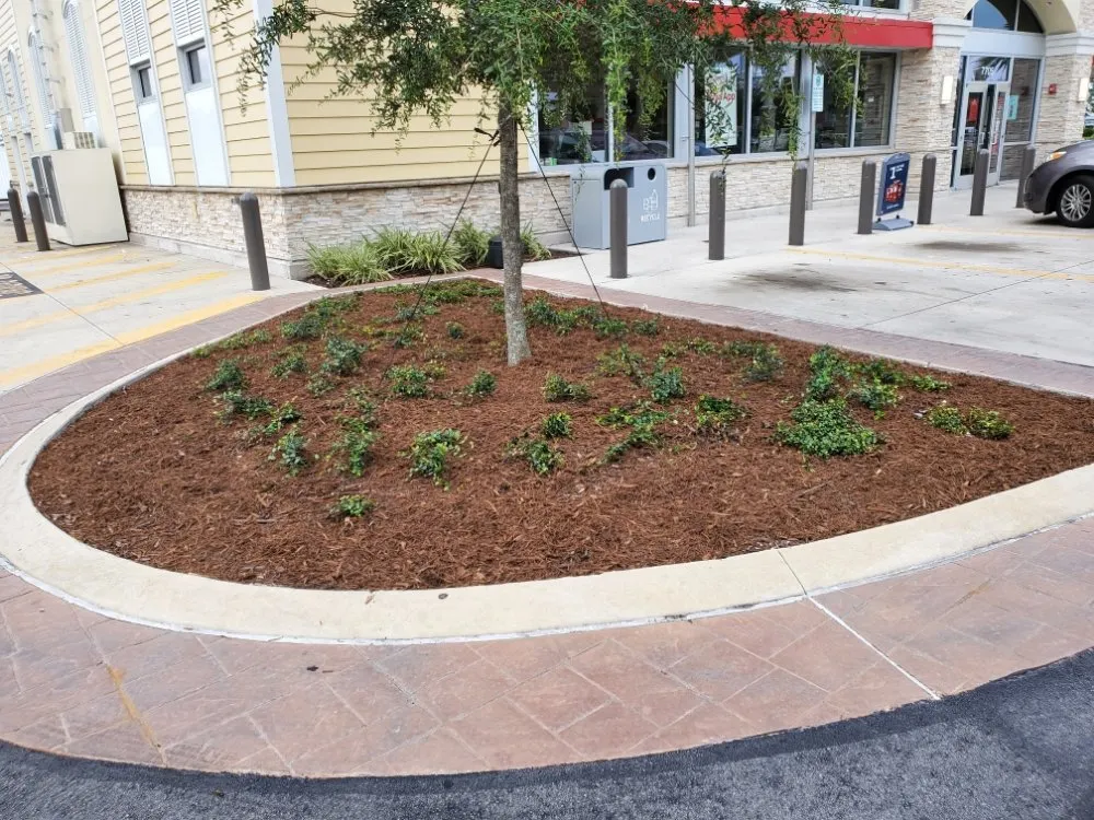Affordable landscaping services in West Palm Beach, FL - k&K Construction and Landscape Service