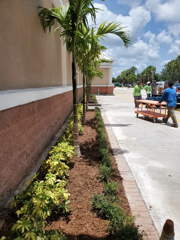 Local landscaping services for residential properties in West Palm Beach, FL by k&K Construction and Landscape Service