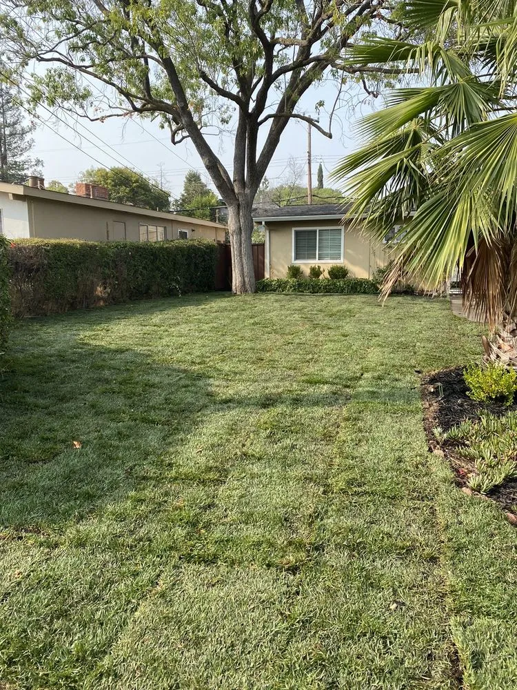 Affordable landscape installation in Fairfield, CA - K&K Construction