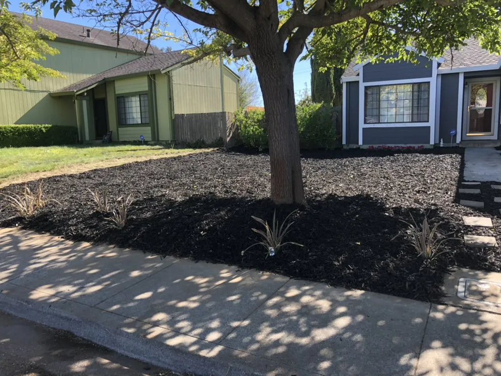 Reliable residential landscaping in Fairfield, CA - K&K Construction