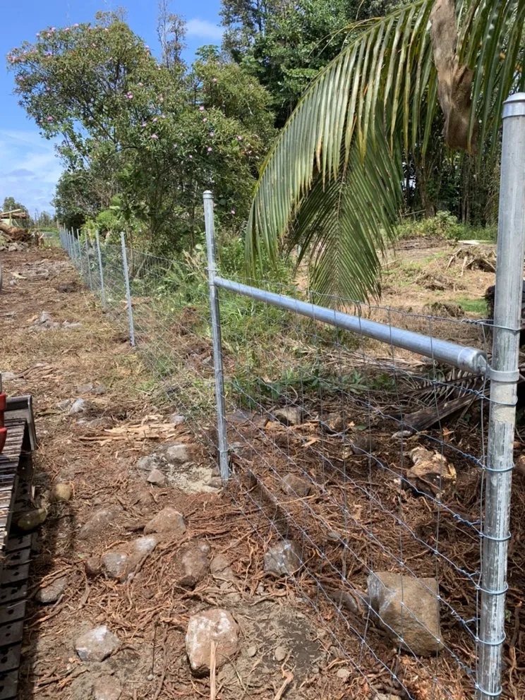 Local residential landscaping for residential properties in Hilo, HI by K&K Excavation & Landscaping Services