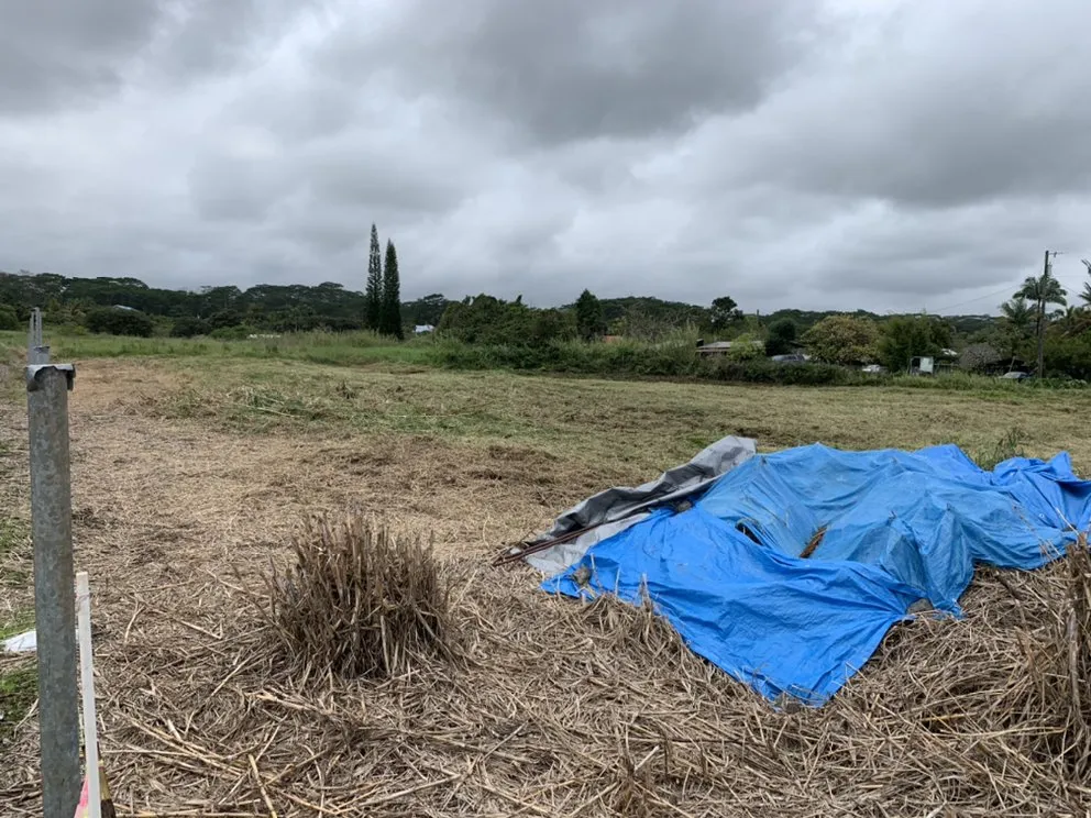 Local landscape installation in Hilo, HI - K&K Excavation & Landscaping Services