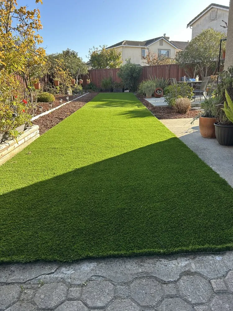 Reliable yard cleanup service in San José, CA by K&K Landscape Service