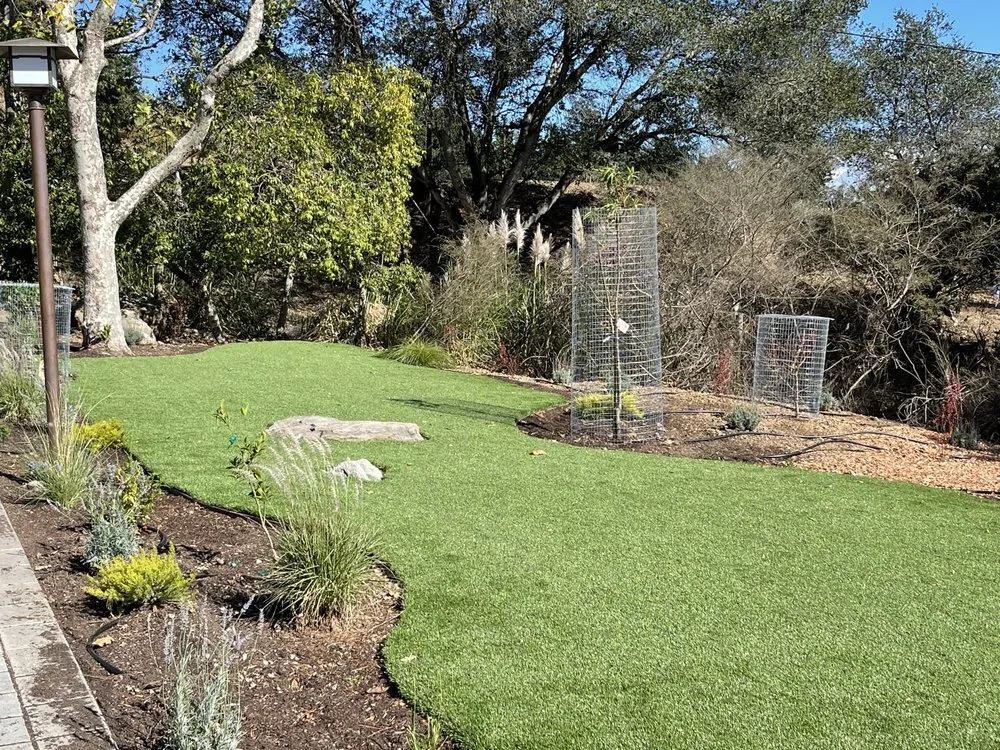 Local yard maintenance for year-round maintenance in San José, CA by K&K Landscape Service
