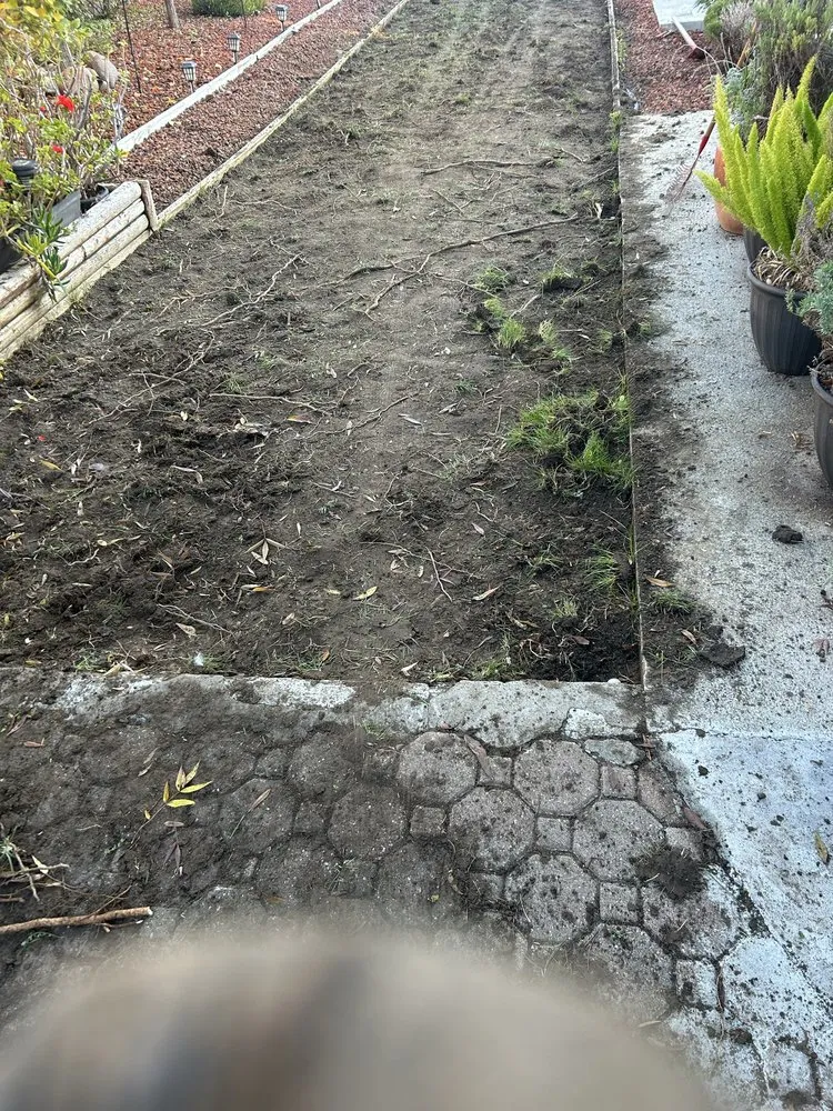 Professional landscaping services with custom design in San José, CA by K&K Landscape Service