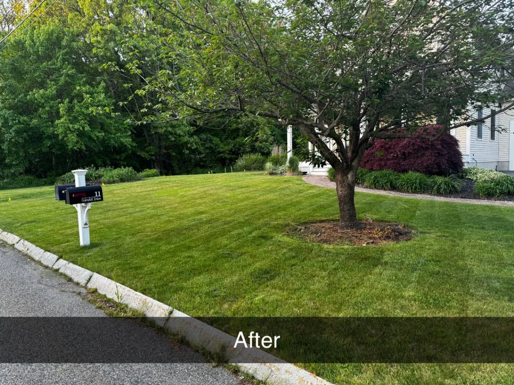 Local landscape design experts serving North Attleborough, MA - K&K landscaping