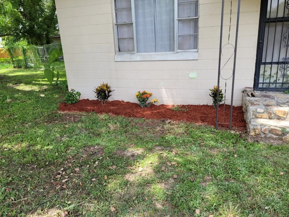 Top-rated landscaping services in Lakeland, FL by K&K lawn care