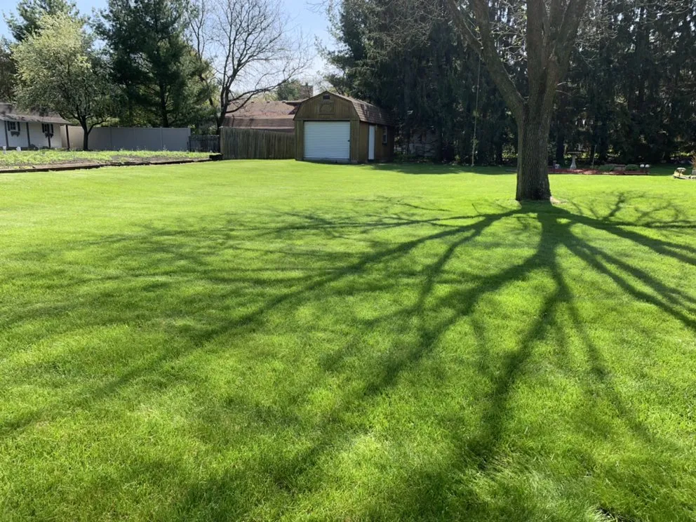 Affordable yard cleanup service for year-round maintenance across Sun Prairie, WI - KK Lawn Care