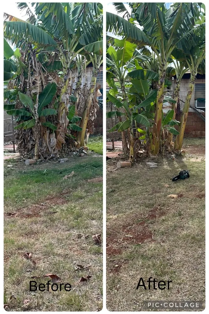 Trusted landscape design for year-round maintenance across Waipahu, HI - K&K Lawn Care